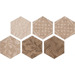 Керамогранит Argenta Atlas Hexagon Patchword Warm 22x25