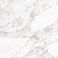 Керамогранит Argenta Carrara White Shine 60x60
