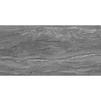 Керамогранит Argenta Eos Argent Polished RC 60x120