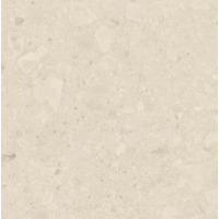 Керамогранит Argenta Flodsten Artic 60x60