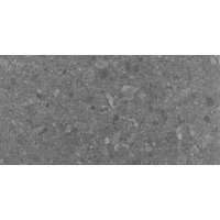 Керамогранит Argenta Flodsten Winter 60x120