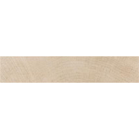 Керамогранит Argenta Inuk Natural 23x120