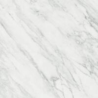 Керамогранит Argenta Terma Pav White 60x60
