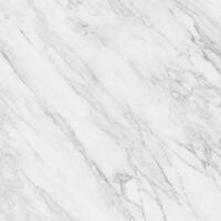 Керамогранит Argenta Terma White Rect 60x60