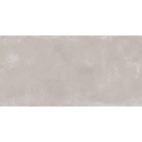Керамогранит Ariana Concrea Silver 40x80