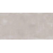 Керамогранит Ariana Concrea Silver 40x80