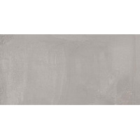Керамогранит Ariana Concrea Silver Lux Rett 60x120