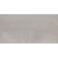 Керамогранит Ariana Concrea Silver Rett 60x120
