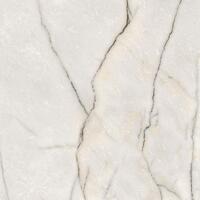 Керамогранит Ariana Epoque 21 Lilac White Antique 3D R 60x60
