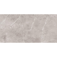 Керамогранит Ariana Epoque Grey Lapp 60x120