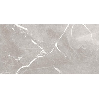 Керамогранит Ariana Epoque Grey Nat 11.5x23