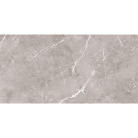 Керамогранит Ariana Epoque Grey Rett 60x120