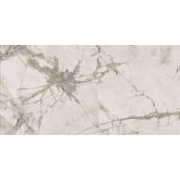 Керамогранит Ariana Epoque White Lapp 60x120