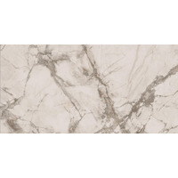 Керамогранит Ariana Epoque White Rett 60x120
