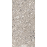 Керамогранит Ariana Futura Cenere Nat R 120x280