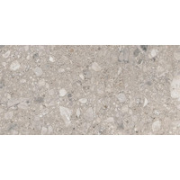 Керамогранит Ariana Futura Cenere Nat R 60x120