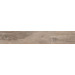 Керамогранит Ariana Legend Sand Rett 20x120