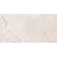 Керамогранит Ariana Memento Limoges White Ant 60x120