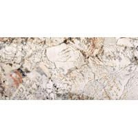 Керамогранит Ariana Nobile Blanc Du Blanc Lux 60x120
