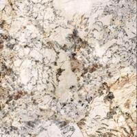 Керамогранит Ariana Nobile Blanc Du Blanc Ret 120x120