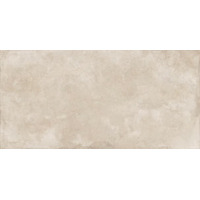 Керамогранит Ariostea ConCrea Dove Grey 150x300