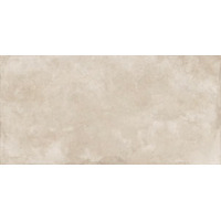 Керамогранит Ariostea ConCrea Dove Grey 60x120