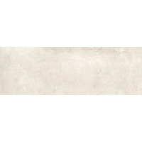 Керамогранит Ariostea ConCrea Talc 100x300