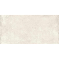 Керамогранит Ariostea ConCrea Talc 60x120