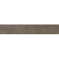 Керамогранит Ariostea Legni Rovere Tundra 20x120