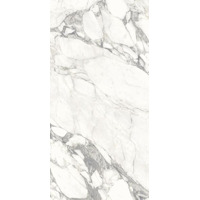 Керамогранит Ariostea Marmi Classici Arabescato Classico Soft Ret 60x120