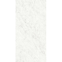 Керамогранит Ariostea Marmi Classici Bianco Carrara Silk 60x120