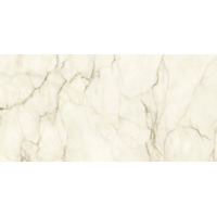 Керамогранит Ariostea Marmi Classici Calacatta Macchia Vecchia Lev Silk 60x120