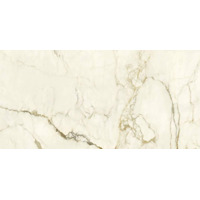 Керамогранит Ariostea Marmi Classici Calacatta Macchia Vecchia Naturale 60x120
