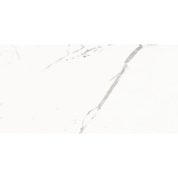 Керамогранит Ariostea Marmi Classici Statuario Classico Naturale 60x120