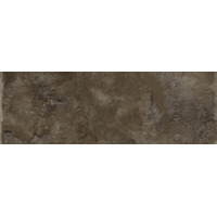 Керамогранит Ariostea Metal Brown Zinc 100x300