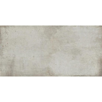 Керамогранит Ariostea Teknostone Light Grey 100x300