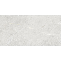 Керамогранит Art And Natura Una Pietra Silver Glossy 60x120