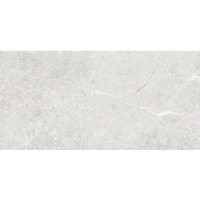 Керамогранит Art And Natura Una Pietra Silver Rustic Carving 60x120