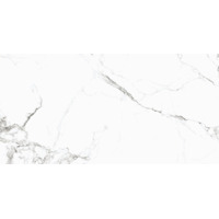 Керамогранит Art Ceramic Full Lappato Marshy White 60x120