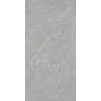 Керамогранит Artecera Fior Di Bosco Silver Rectificado 60x120