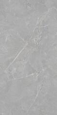 Керамогранит Artecera Fior Di Bosco Silver Rectificado 60x120