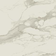 Керамогранит Atlas Concorde Russia Empire Arabescato Rett 80x80