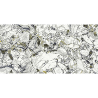 Керамогранит Atlas Concorde Russia Forte Dei Marmi Quark Ceppo Apuano Forest Lapp 80x160
