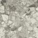 Керамогранит Atlas Concorde Russia Forte Dei Marmi Ceppo Apuano Pearl Rett 120x120