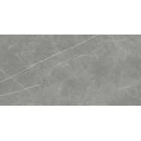 Керамогранит Atlas Concorde Russia Forte Dei Marmi Elegant Grey Lapp 80x160