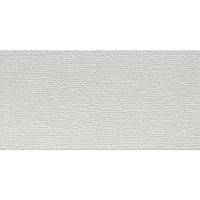 Atlas Concorde 3D Wall Carve Sign Pearl 40x80