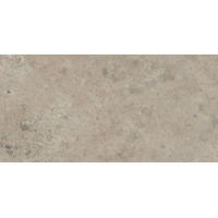 Керамогранит Atlas Concorde Aix Cendre Strutturato 22.5x45.3