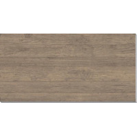 Керамогранит Atlas Concorde Axi Brown Chestnut LASTRA 45x90