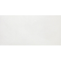 Atlas Concorde Dwell Ice 40x80