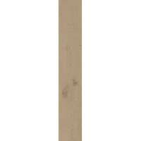 Керамогранит Atlas Concorde Entice Ash Oak 20x120